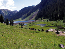 USA-Colorado-Weminuche Wilderness Pack Trip